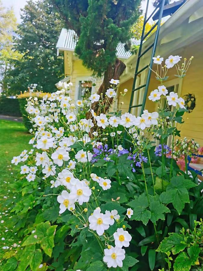 Country Villa Estate Ngongotaha Zewnętrze zdjęcie