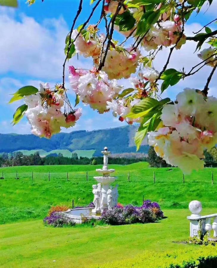 Country Villa Estate Ngongotaha Zewnętrze zdjęcie