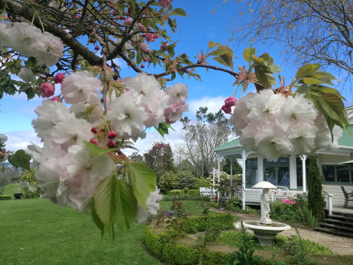 Country Villa Estate Ngongotaha Zewnętrze zdjęcie