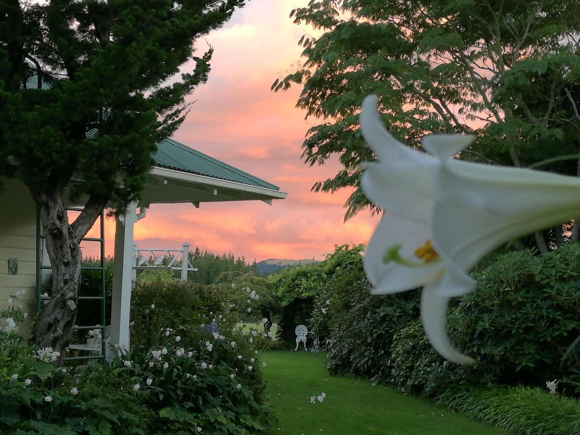 Country Villa Estate Ngongotaha Zewnętrze zdjęcie