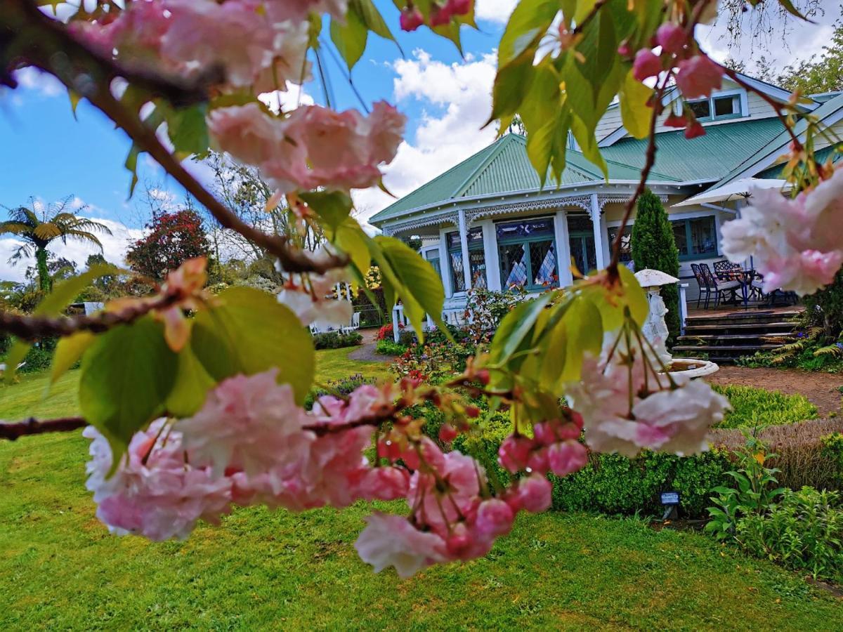 Country Villa Estate Ngongotaha Zewnętrze zdjęcie
