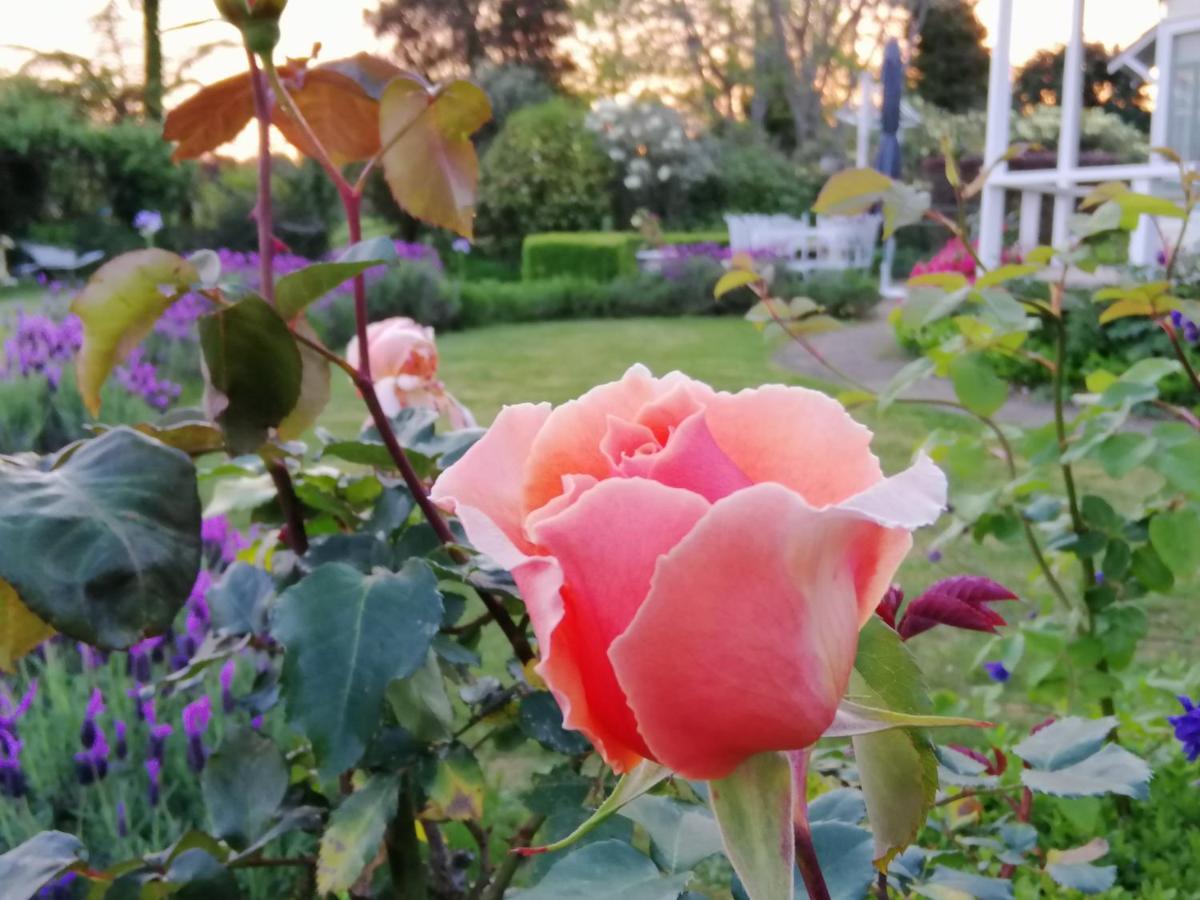 Country Villa Estate Ngongotaha Zewnętrze zdjęcie